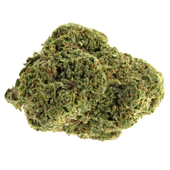 Greatest Apex Of All Time-28g