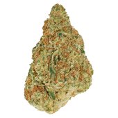 Winter Frost (Northern Berry x Powdered Donuts) Winter Frost (Northern Berry x Powdered Donuts)