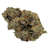 Plan't of the Ganja - Deep Breath (Mendo Breath x Gorilla Glue #4 x Alien Breath)