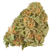 Grand Daddy Purps