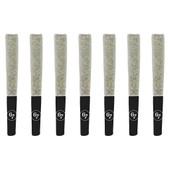 Sixty Seven Sins - Gas Face Pre-Roll Hybrid -7x0.5g Sixty Seven Sins - Gas Face Pre-Roll Hybrid -7x0.5g