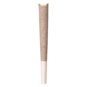BLK MLK Pre-Roll