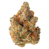 Masterpiece (Cap Junky x Platinum)