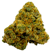 Durban Poison Durban Poison