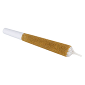 Animal Amnesia Infused Pre-Roll Animal Amnesia Infused Pre-Roll