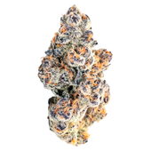 Dragon Glass (Black Runtz x Good Greens Candy)