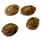 Apple Truffle Breath - Feminized