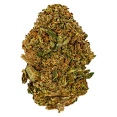 Afghan Kush Flower Afghan Kush Flower
