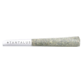 Pacific OG Pre-Roll Pacific OG Pre-Roll