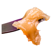 Live Rosin Seasonal Gas Pack (Purple Poison OG)