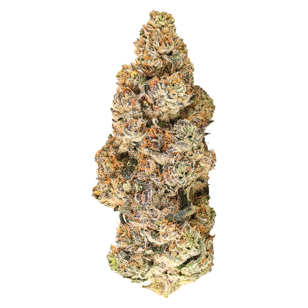 Zoy Sauce (Lemon Cherry Sherbert x (Zushi x Lemon Cherry G))