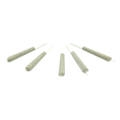 Truffle Treats (Gorilla Butter x Unknown Hybrid) Pre-Roll