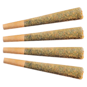 Night Rider Indica Pre-Roll
