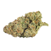 Mandarin Cookies (Cookies x Mandarin Sunset)