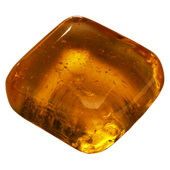 Golden Silk Infused Soap