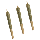 Citrus Tsunami Pre-Roll