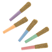 Toasters: Taster Pack [Distillate/Kief] | 5x0.5g