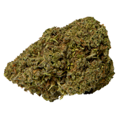 Mango Sapphire Haze Mango Sapphire Haze