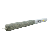 Island Pink Pre-Roll