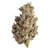 James' Celebration: Craft Small Batch Rotational