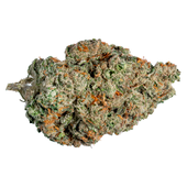 Valley Girl (SFV OG x Face Off OG)