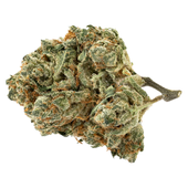Alien Pebbles (Alien OG x FPOG)