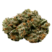 Pink Kush