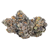 Sixty Seven Sins - Gas Face (Face Mints x Biscotti x Sherbet)