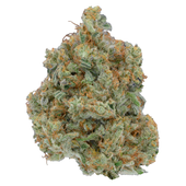 Be Humble. - Omakase (Black Diamond OG x XXX OG)