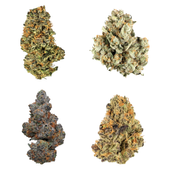 Canada Collection Variety Ounce Canada Collection Variety Ounce