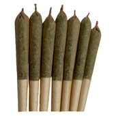 The Bliss - Hybrid Pre-Roll (Gary Payton)