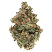 BC Organic Fire OG