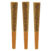 Jungle Fire Pre-Roll