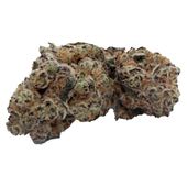 R.C.S. Collective (Apple Ztrudle)