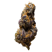 Black Cheese (UK Cheese x Black Truffle)