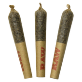Melonberry Resin Infused Pre Rolls
