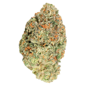 Inside Joke (Banana Cream Pop x Jokerz 31)