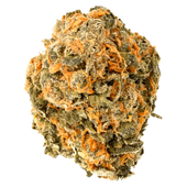 Garlic Zkittlez