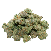Jamaican Dream