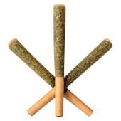 SAUCE: Slim-Bitz [Flower: Runtz | Live Rosin: Champaya]