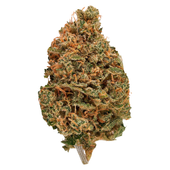 Bud Lafleur - Citroli (Citral Skunk x Original Glue)