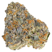 Guavas 74 Craft Whole Flower
