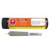 Orange Rntz Pre-Roll Orange Rntz Pre-Roll