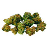 Grape Limeade Botanical Buds
