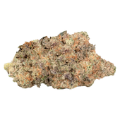 Sunset Angel Sunset Angel