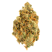 Sour Kush