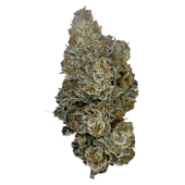 Kadillac Rainbow (Pure Michigan x Runtz)