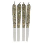 Tropical Pocket Puffs Pre-Roll