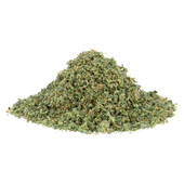 Mac n' Cheese Mac n' Cheese