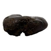 TRURO Donair Kush HASH 2g